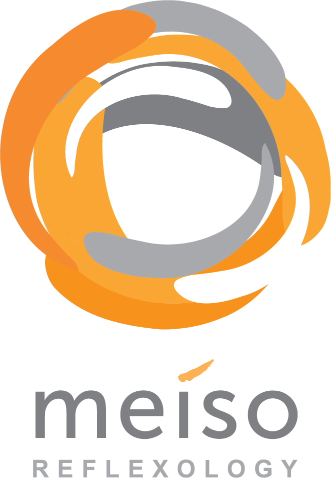 LOGO MEISO-01 Meiso