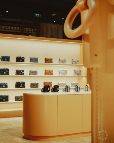 The COACH Tabby Bag Has Landed at ASHTA District 8