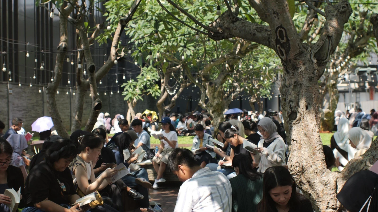 ASHTA District 8 Celebrates the Power of Reading in Public Spaces