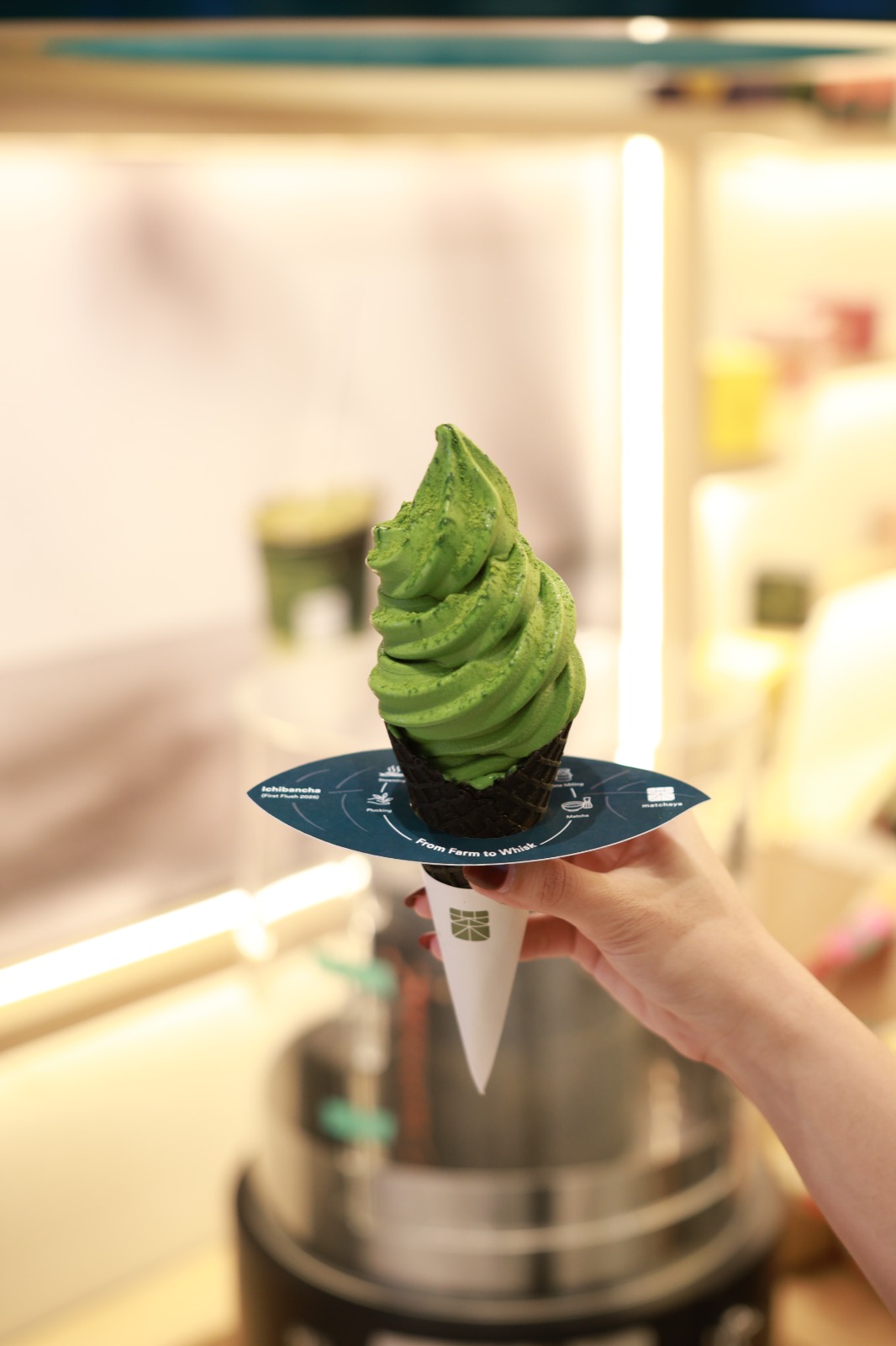 The First Pour of the Season: Ichibancha 2025 at Matchaya, ASHTA District 8