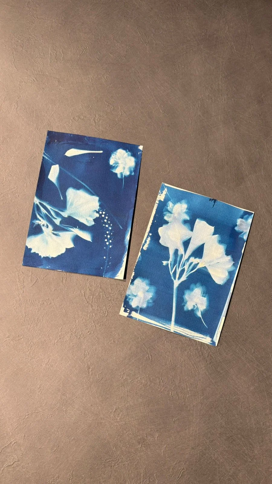 Shadow & Light: Sunprint of Hope