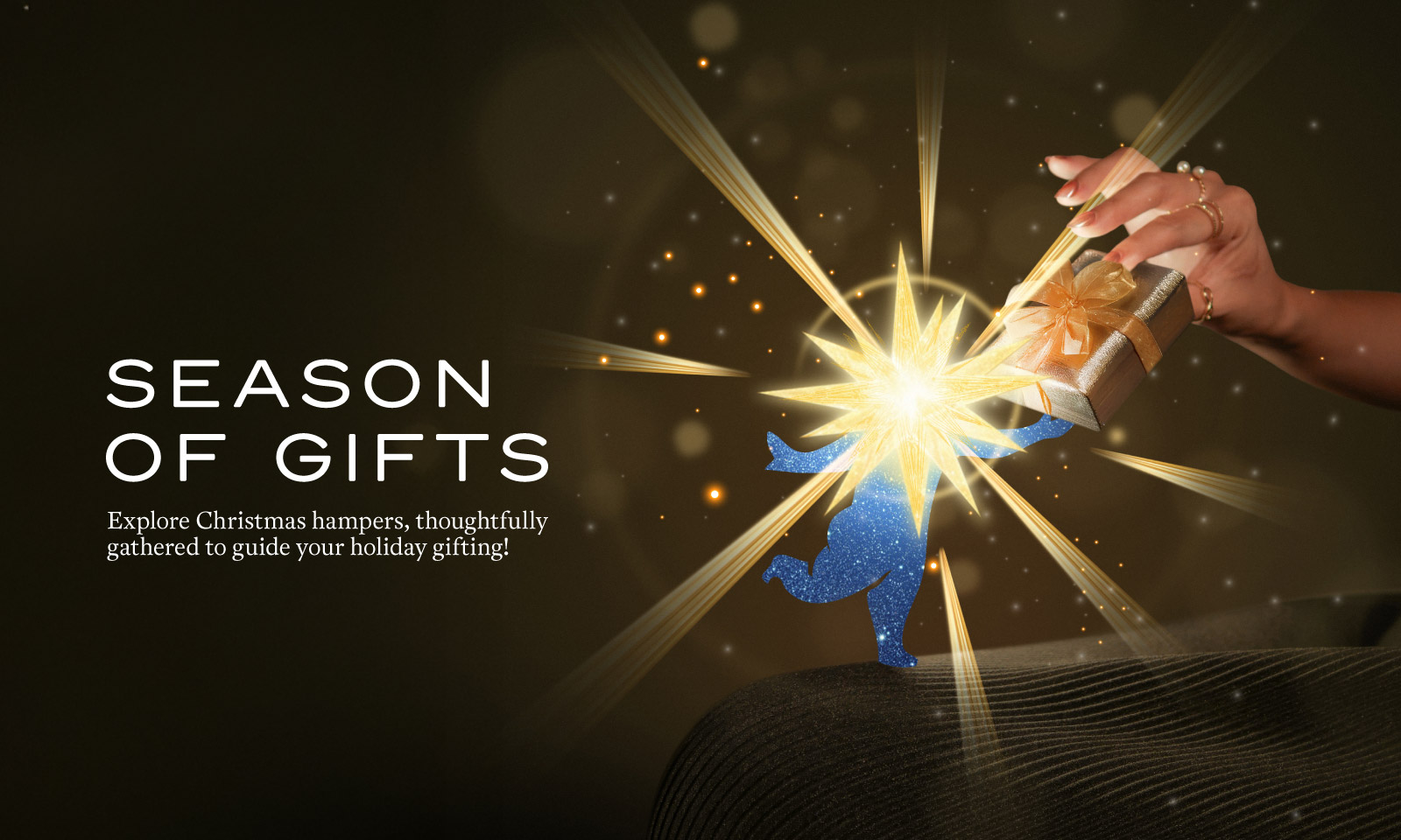 Christmas Hampers E-Catalog 2025