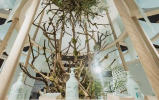 Secret Garden: Clean Beauty Series &bull; ASHTA District 8